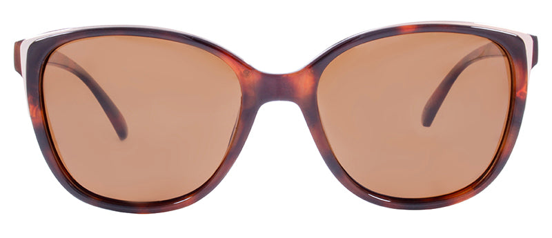 Gloss Demi Pattern + Gold Accent / Brown