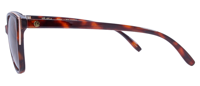 Gloss Demi Pattern + Gold Accent / Brown