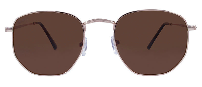 Gloss Gold + Demi Temple Tips / Brown