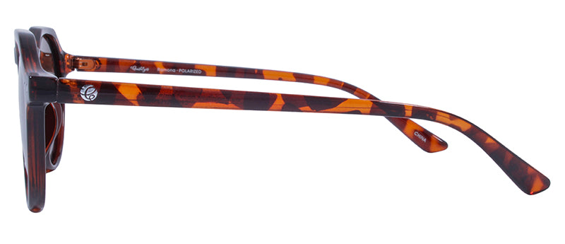 Gloss Demi / Brown