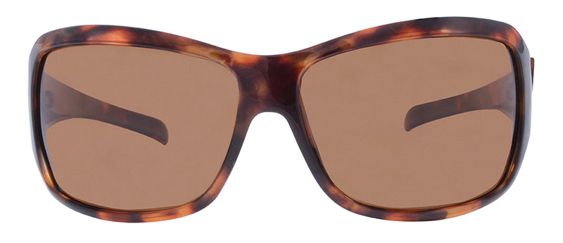 Gloss Demi / Brown