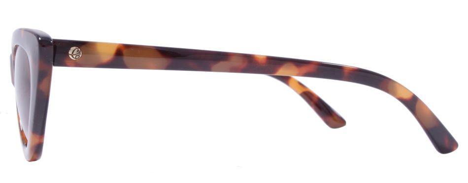 Gloss Tortoise / Brown