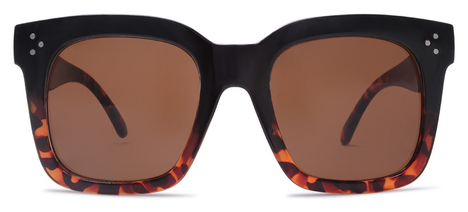 Black Gradient Tortoise / Bronze