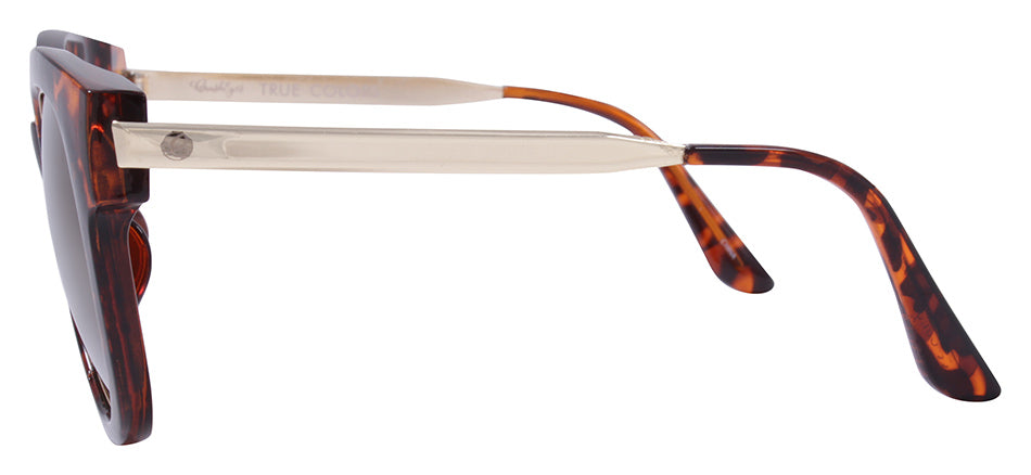 Gloss Tortoise + Gold / Brown + Gold Flash