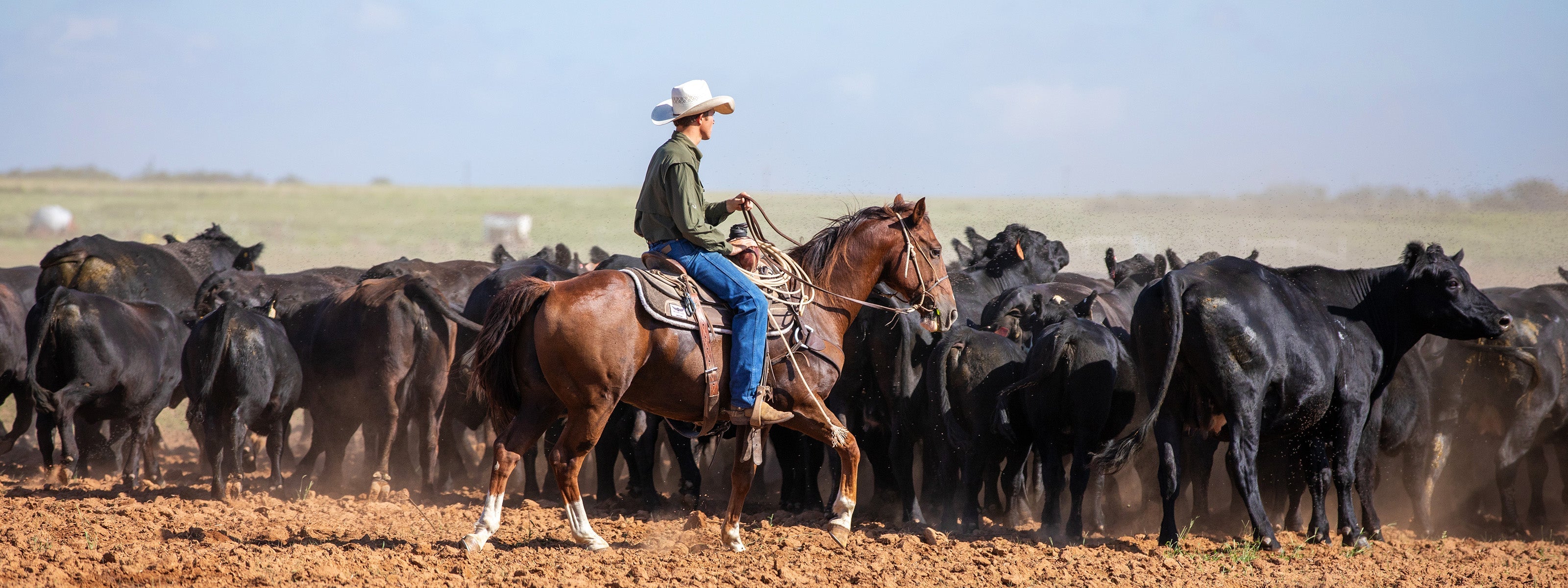 Chutes & Boots Collection