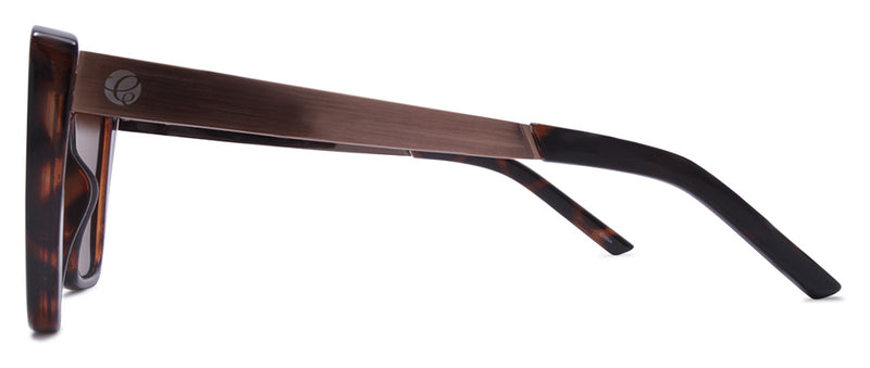 Gloss Demi + Brushed Bronze Temple/ Brown
