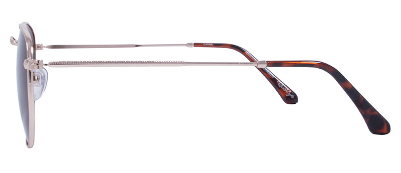 Gloss Gold + Demi Temple Tips / Brown