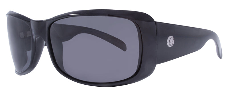 Gloss Black + Matte Black Temples / Smoke
