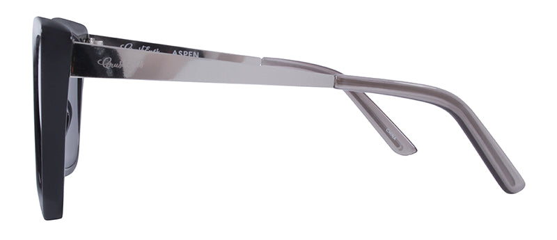 Gloss Black + Silver Temples + Dark Transparent Grey Tips / Smoke
