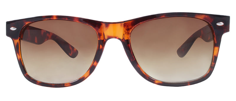 Gloss Demi / Gradient Brown