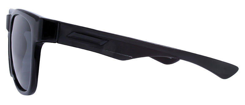 Gloss Black / Black Rubber Temple Tip / Smoke
