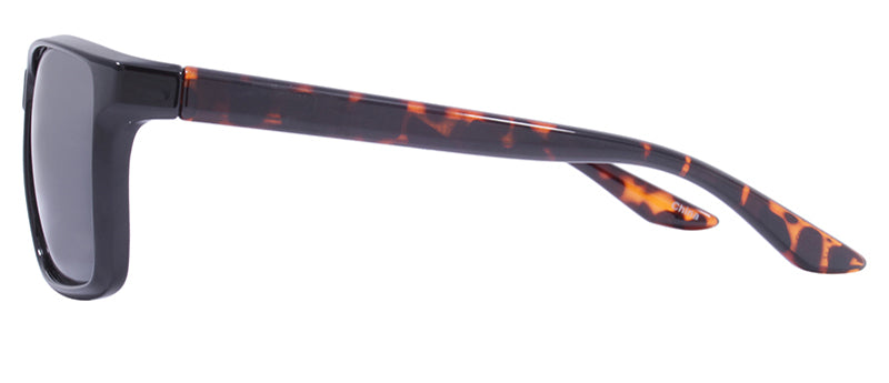 Gloss Black + Tortoise Temples / Smoke