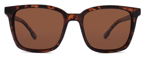 Gloss Tortoise / Gradient Brown